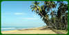 Royal Palms Beach Hotel 